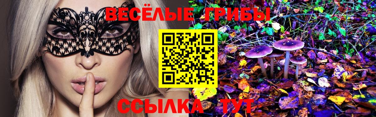 Галлюциногенные грибы Psilocybine cubensis Пугачёв