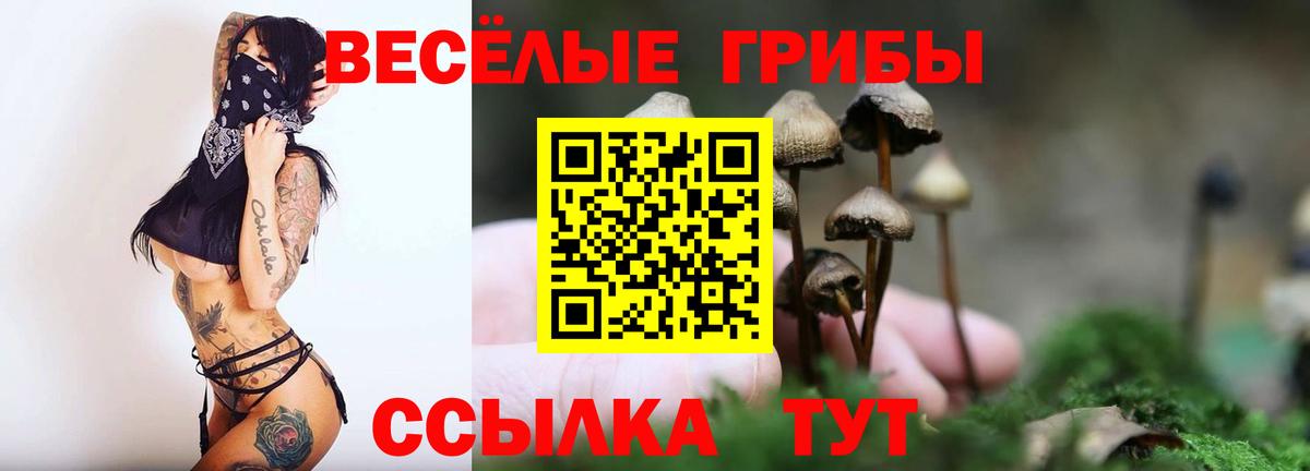 Пугачёв  Псилоцибиновые грибы мухоморы  Вход с VPN 